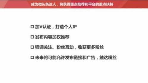 怎么才能选入头条粉丝,如何成功入选头条粉丝，打造热门账号