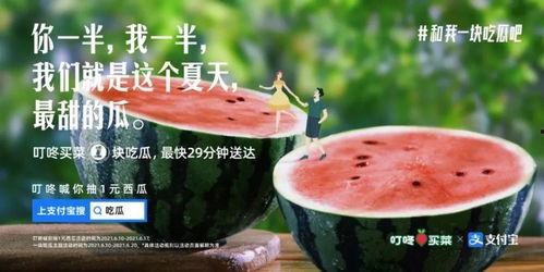 强行吃瓜文案,揭秘那些强行吃瓜背后的故事