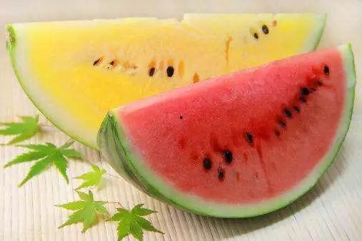 高级吃瓜老头,揭秘高级吃瓜老头的智慧生活