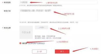 个人怎么开通头条认证