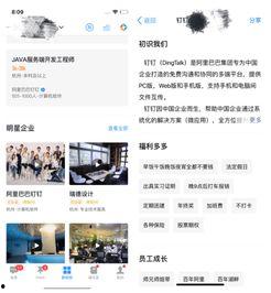 钉钉网红主播,直播新势力，引领潮流风向标