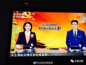 昨天新乡市新闻头条,昨日头条聚焦创新成果