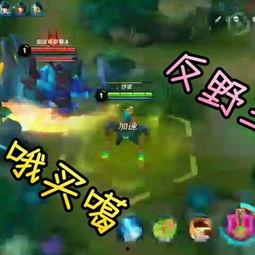 宝儿王者爆料最新消息,神秘新英雄即将登场！