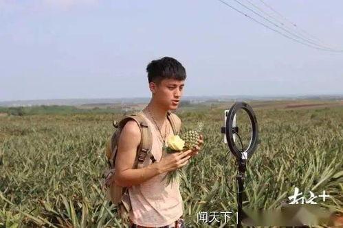 广东徐闻菠萝网红打卡,网红打卡地，甜蜜诱惑之旅”