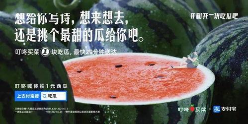 认真的吃瓜文案,揭秘娱乐圈那些不为人知的幕后故事