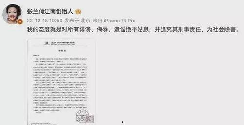 爆料芳姐说真话视频播放,芳姐说真话视频播放背后的故事