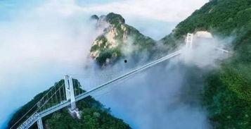 凤凰山明星赛,巅峰对决，星光熠熠的篮球盛宴