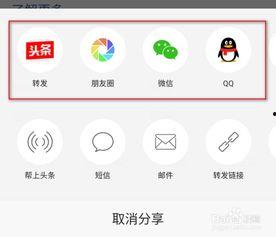 怎样将头条视频转发,轻松制作概述文章副标题