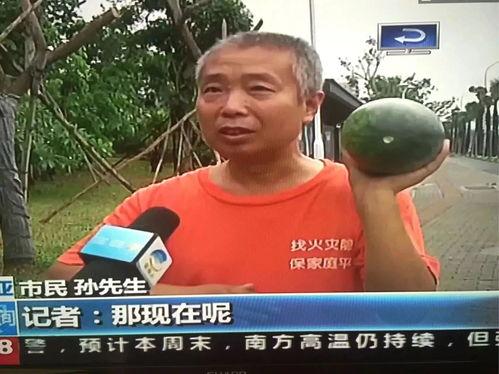 全网热门事件吃瓜,揭秘热门事件背后的真相与争议