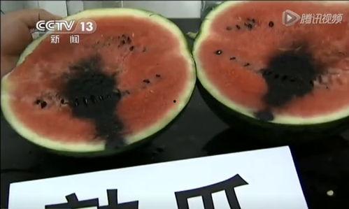 带你吃瓜吃奇葩西瓜视频,带你探索那些令人惊叹的奇葩西瓜视频